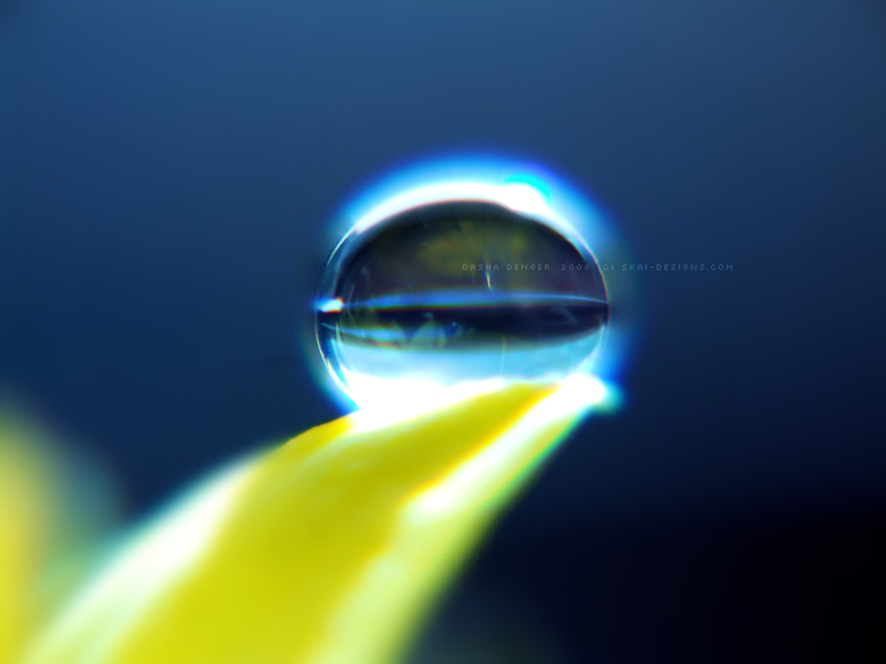 Frozen Droplet