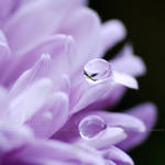 Lonely... by onixa