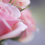 I shed my tears for you... by onixa
