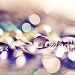 .: Peacock Love :. by onixa