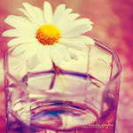 ...the glass is half full by onixa