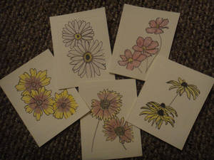 Wildflower Greeting Card Set