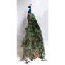 Mounted peacock, opgezette dieren, taxidermy