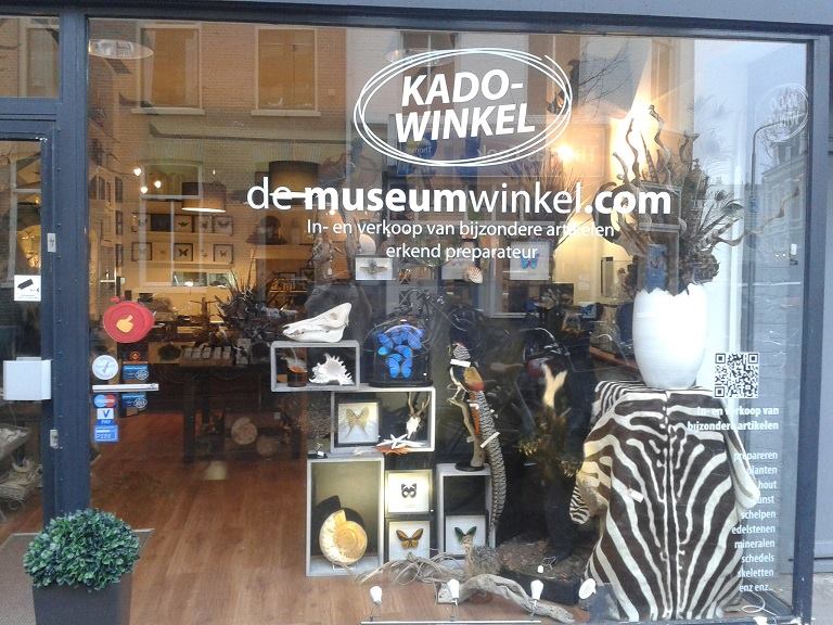 our taxidermy store www.demuseumwinkelmuseumwinkel on deviantart