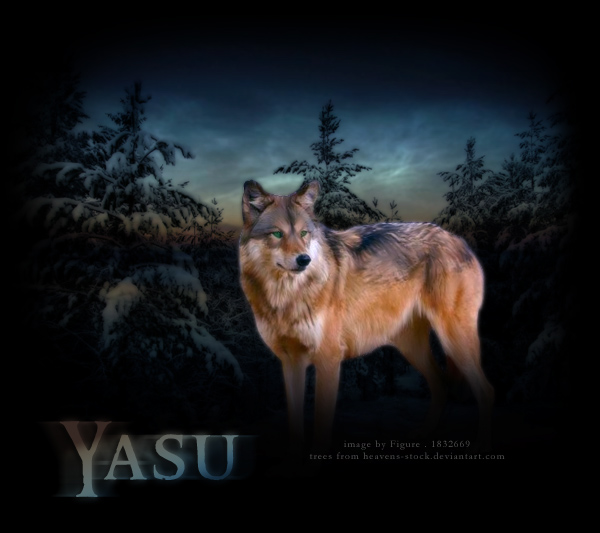 Yasu