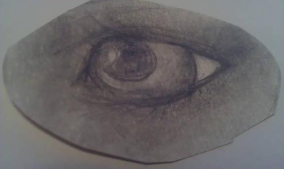 Eye