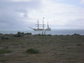 King Penguins and Ship