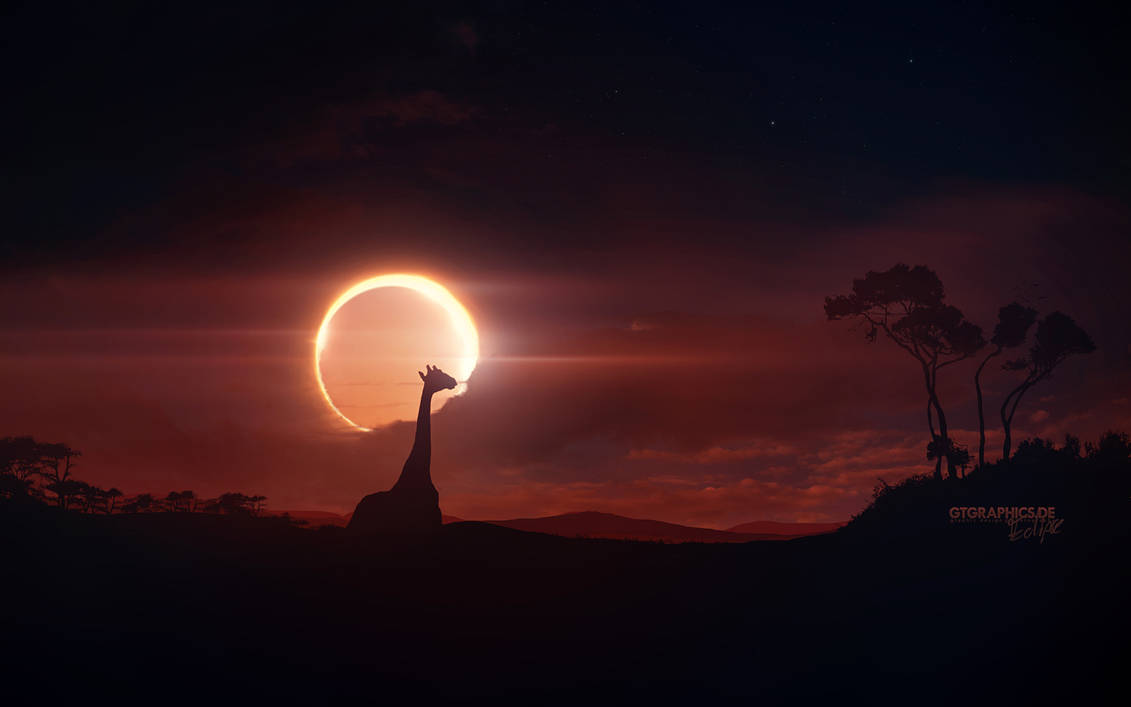 Eclipse by TobiasRoetsch
