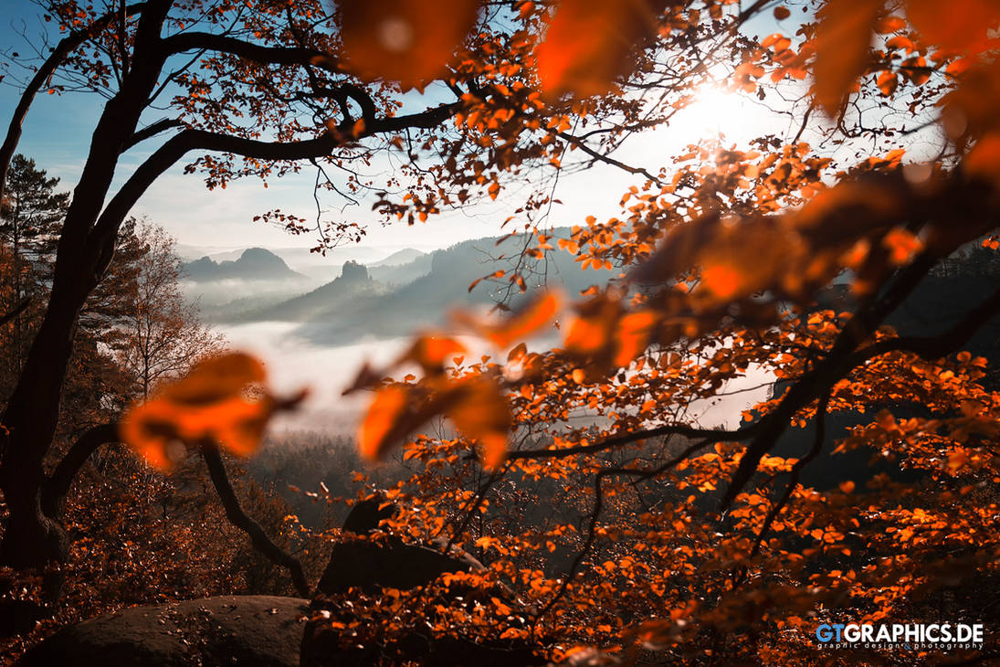 Fading Curtain by TobiasRoetsch
