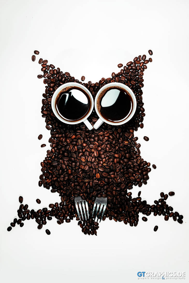 Coffee Owl