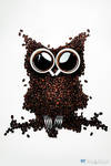 Coffee Owl by TobiasRoetsch