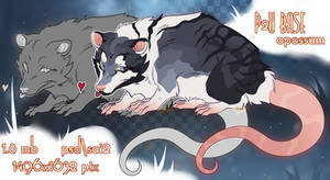 P2U BASE opossum 2