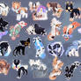 adopt | OPEN