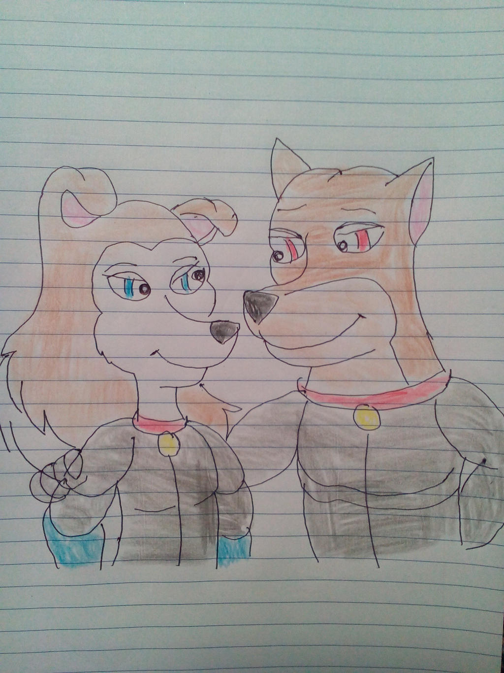 colleen and blitz from road rovers by aliciamartin851 on DeviantArt