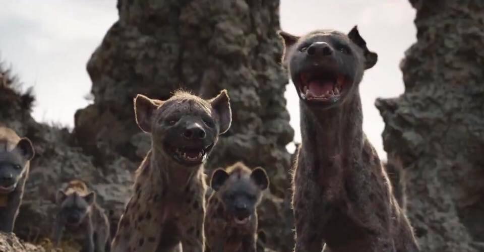 Lion King Live Action More Hyenas By Aliciamartin851 On Deviantart Lion King Live Action More Hyenas By Aliciamartin851 On Deviantart