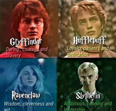 New Harry potter meme found on Facebook by aliciamartin851 on