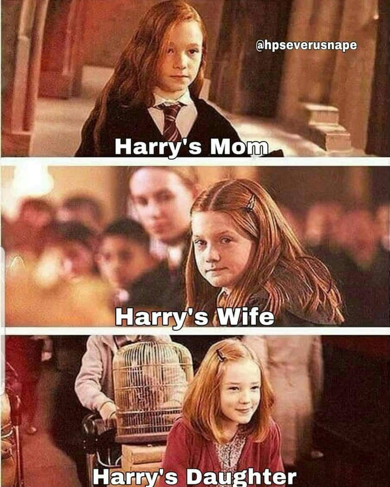 New Harry potter meme found on Facebook by aliciamartin851 on