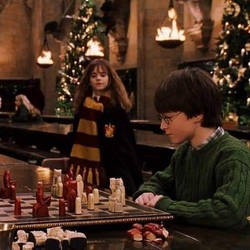 Harry potter Christmas 
