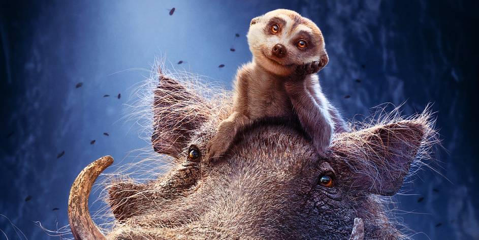 Lion king live action timon and pumbaa by aliciamartin851 on DeviantArt