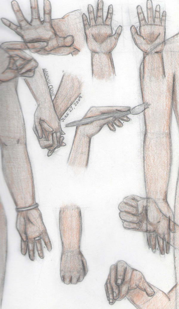 Anatomy Study - Hands