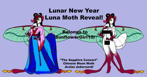 Lunar New Year Luna Moth Reveal!