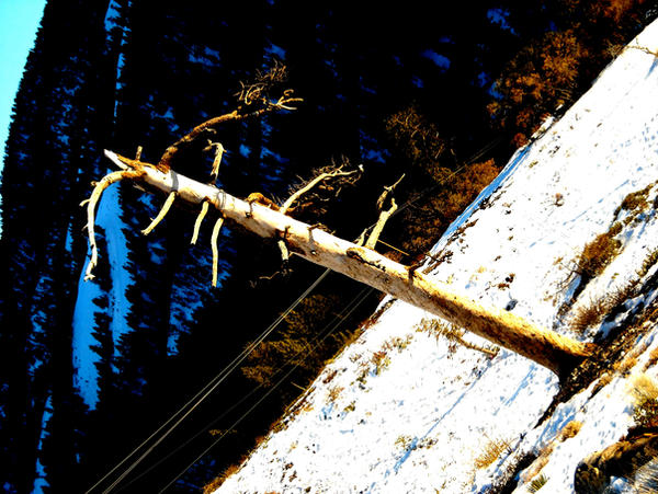 Slanted Fall Slanted by celticfox19 on DeviantArt