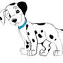 Dalmatian puppy