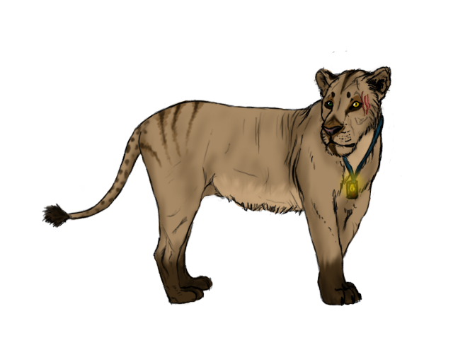 Lioness