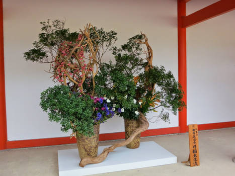 Ikebana 3