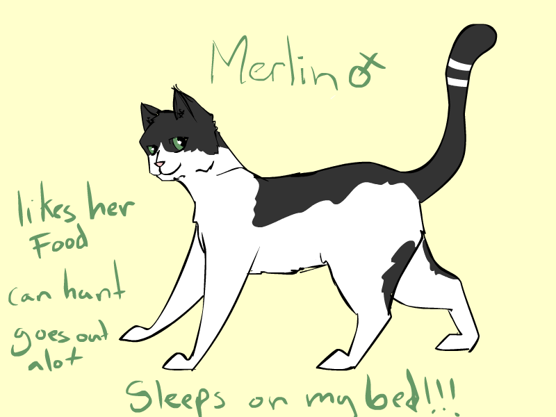 Merlin :REF