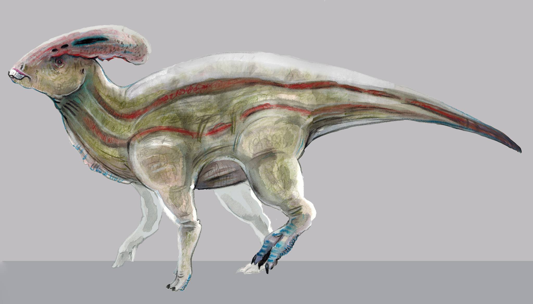 Parasaurolophus