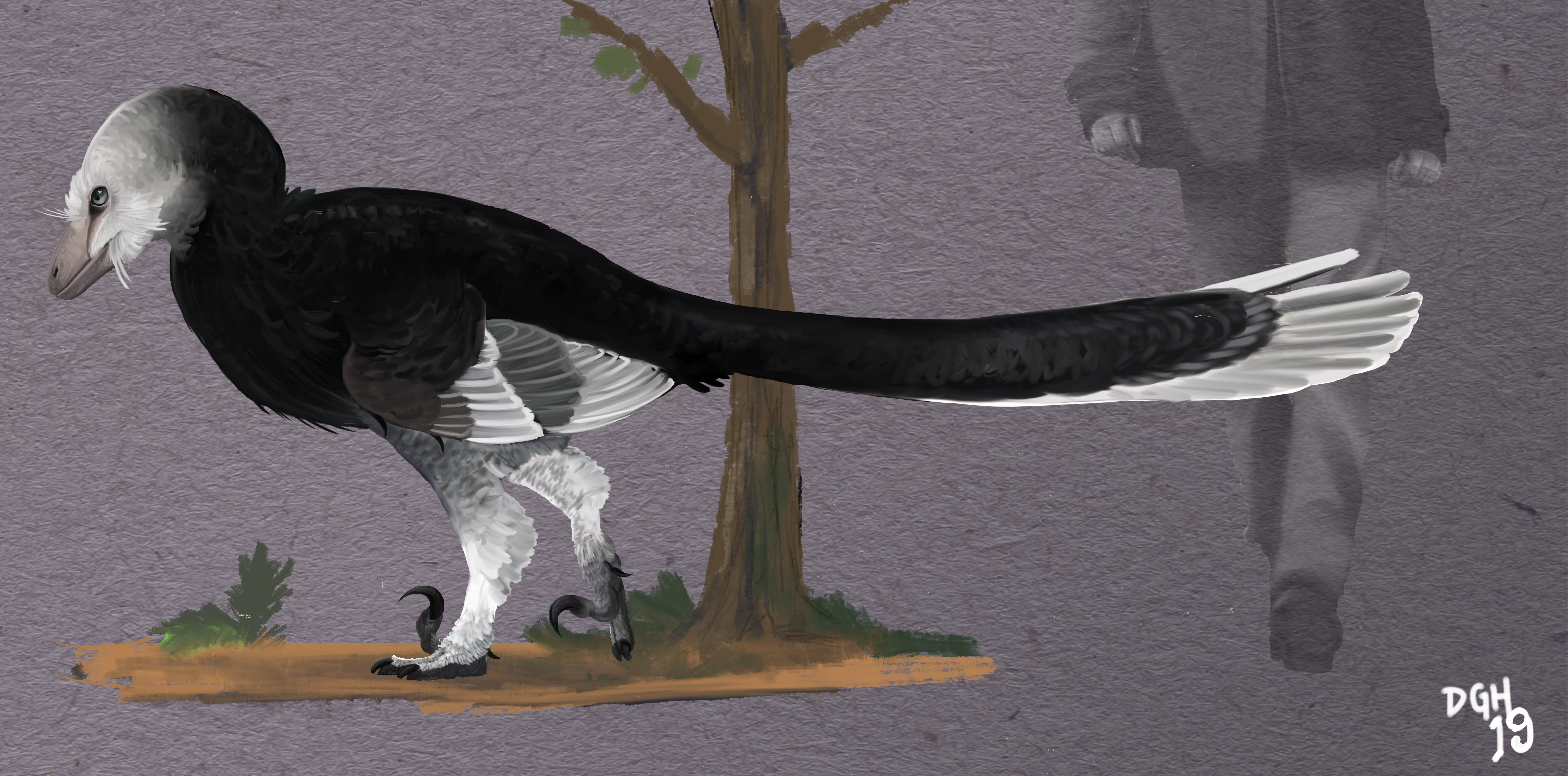 Deinonychus antirrhopus