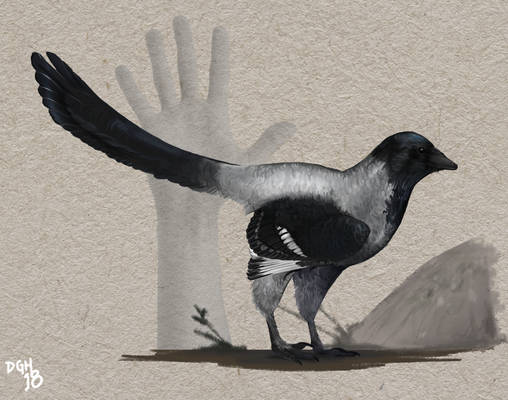 Archaeopteryx lithographica