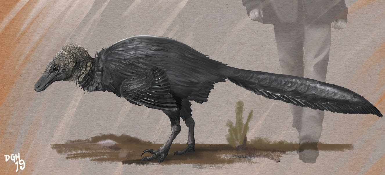 Linheraptor exquisitus by DanneArt on DeviantArt
