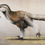 Velociraptor mongoliensis (Updated)