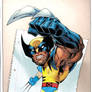 Wolverine