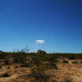 Joshua Tree National Park