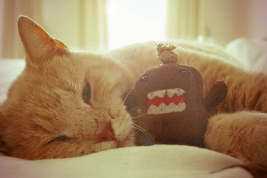 My Domo!