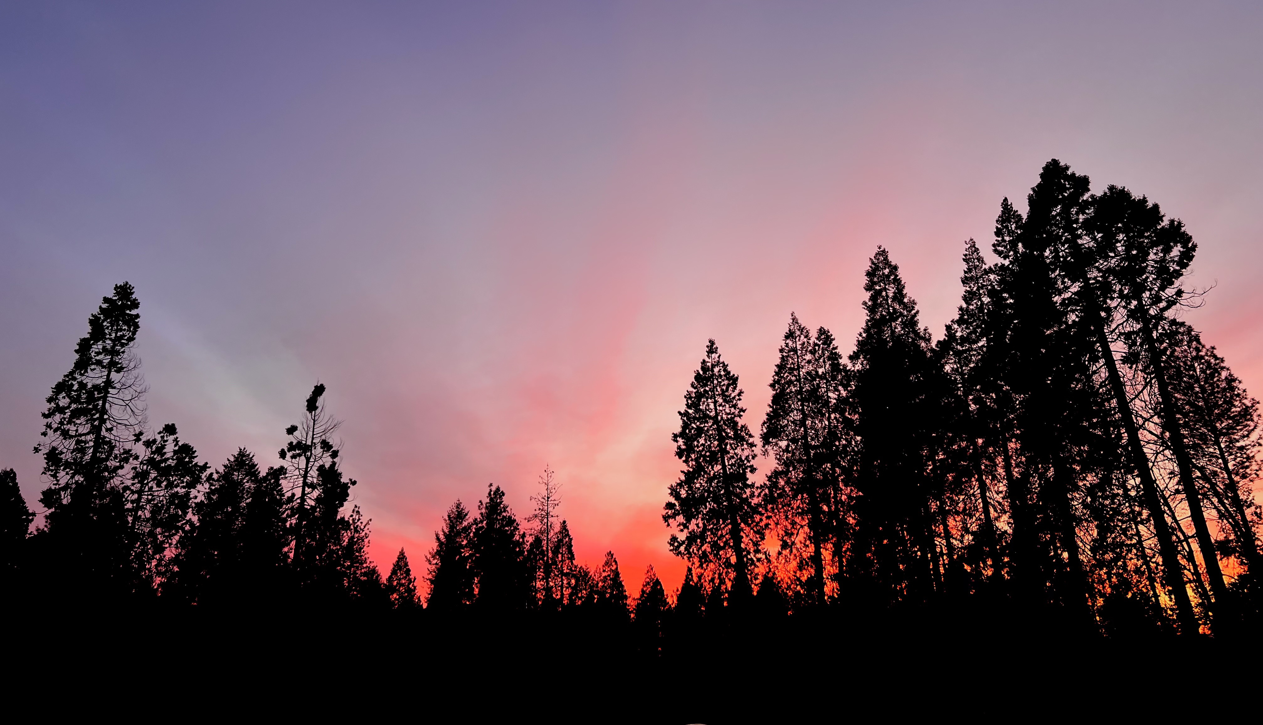 Diff Day by shadyzeva on DeviantArt