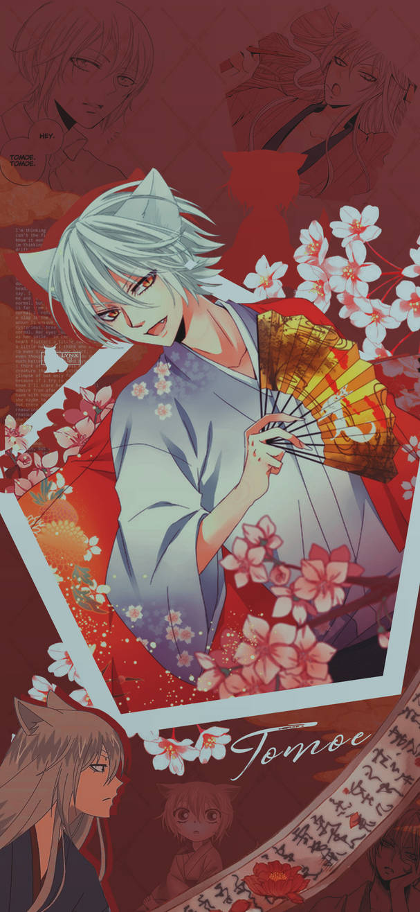 Tomoe Wallpaper by LynxShiro on DeviantArt