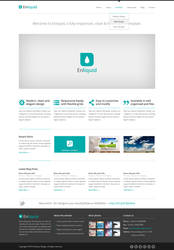 Enliquid - Responsive Template Design by ICEwaveGfx