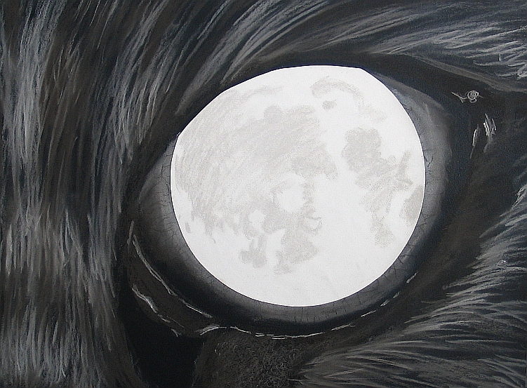 The Cat and the Moon by bumblefly