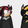 Raptor and Shadow