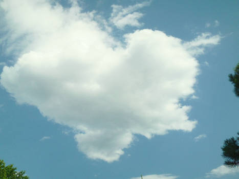 Hot air balloon cloud