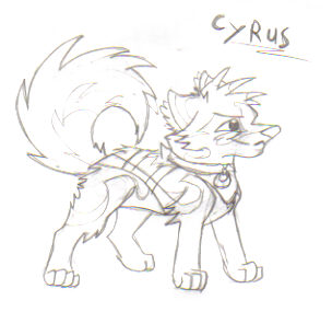 Cyrus CHIBI