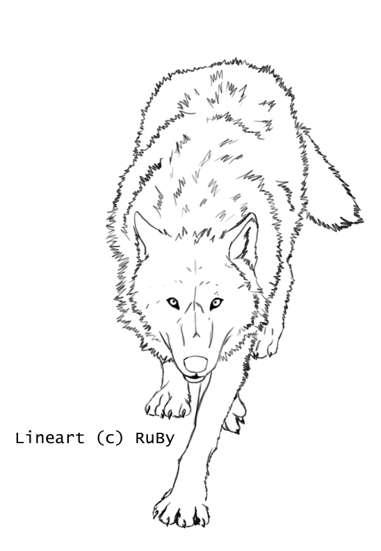 Wolf Lineart 1