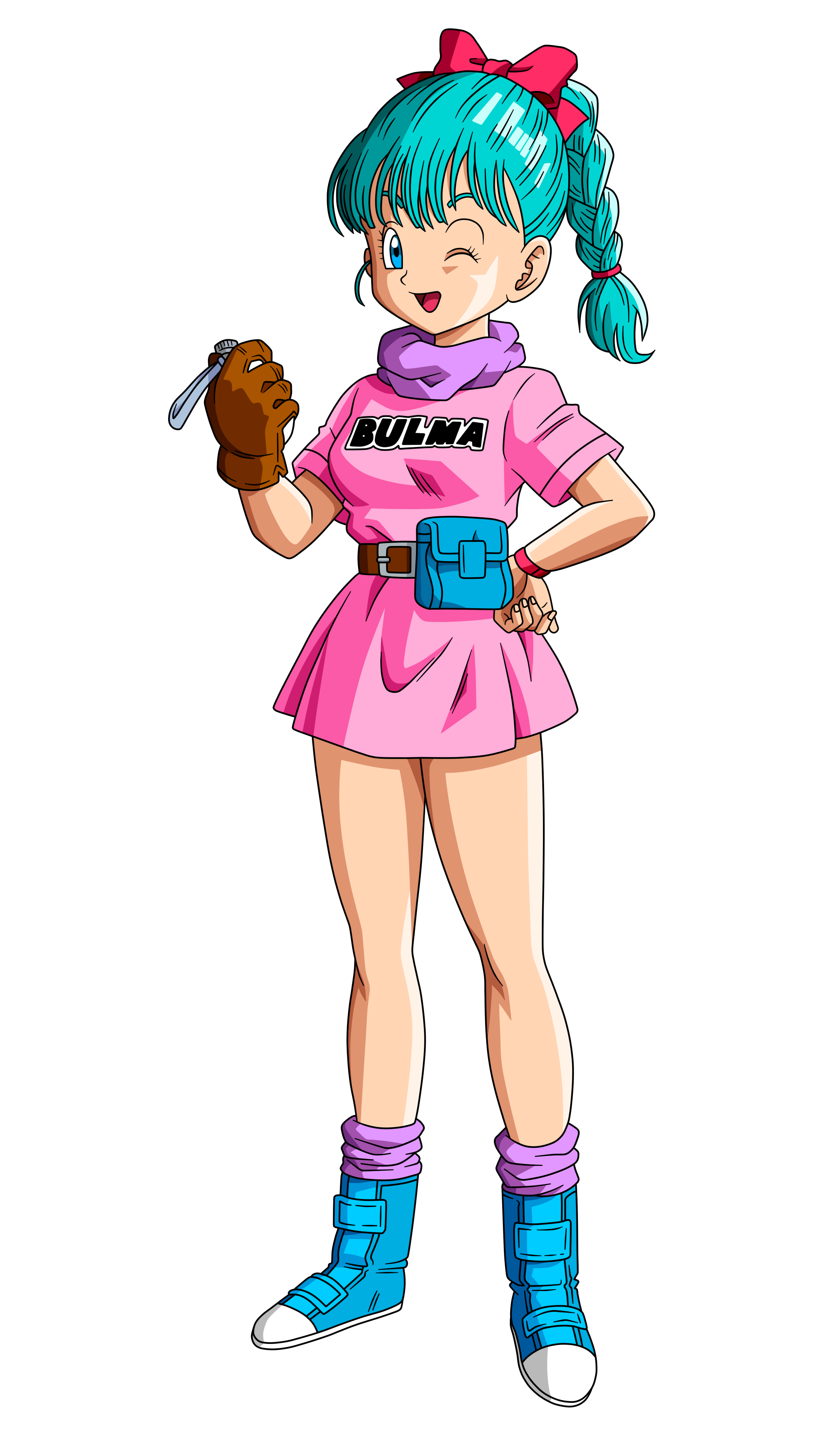 Bulma, Dragon Ball Wiki