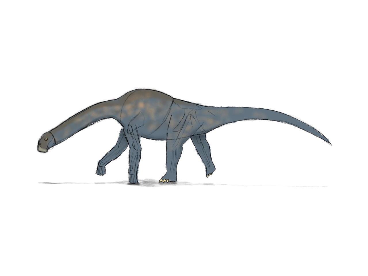 Nigersaurus by RegularDraws on DeviantArt