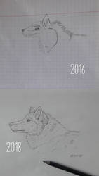 2016 vs 2018  by LilasTimberWolf