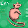 Bean the Naked Rat